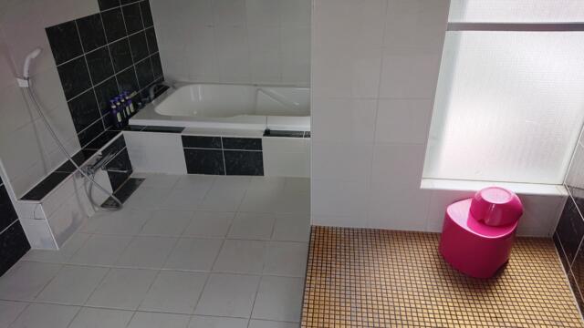 フォーラム(新宿区/ラブホテル)の写真『501号室 浴室(吉原のお風呂屋さんの一部屋くらいあります)』by 舐めたろう