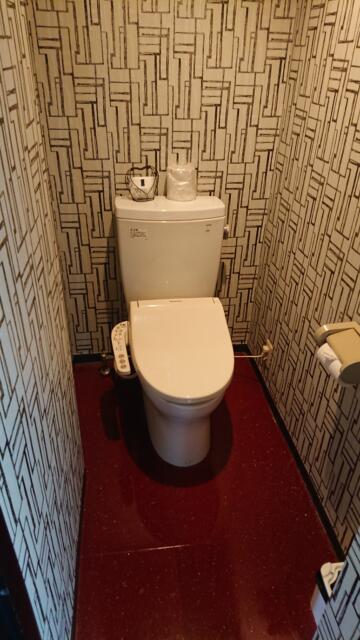 フォーラム(新宿区/ラブホテル)の写真『501号室 トイレ(ちょっと旧式です)』by 舐めたろう