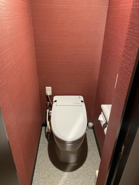HOTEL RIO（リオ）(新宿区/ラブホテル)の写真『308号室、トイレ』by かとう茨城47