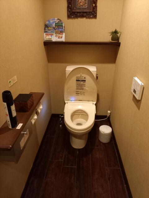 BaliAn RESORT(バリアンリゾート)新宿(新宿区/ラブホテル)の写真『202号室　トイレ』by クロマグロ