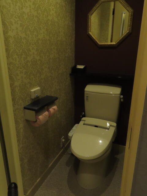 ホテル IVY(アイビー)(さいたま市岩槻区/ラブホテル)の写真『203号室　トイレ』by 乙πマスク