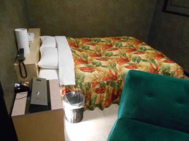 ホテル ゲルマニア(嬉野市/ラブホテル)の写真『103号室、ベッドとソファ、やや狭い、足元は明るいライトが付いている』by 猫饅頭