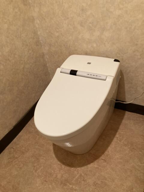 ホテル ファイン(浜松市/ラブホテル)の写真『211号室　トイレ』by まさおJリーグカレーよ