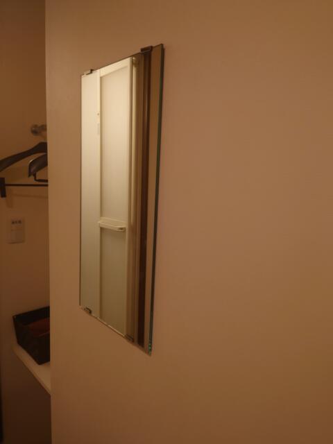 レンタルルーム オーロラ(荒川区/ラブホテル)の写真『305号室鏡』by そこそこの人生