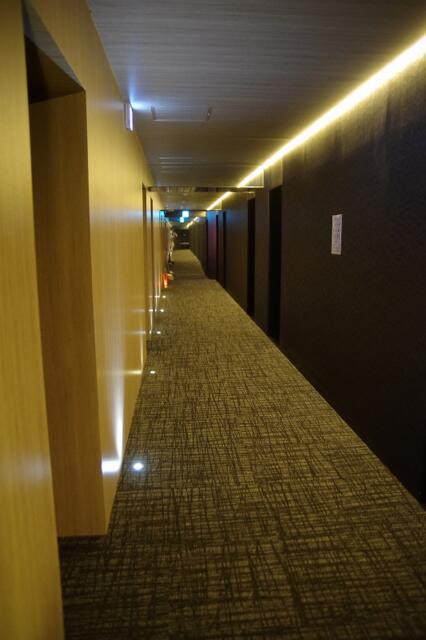 サードプレイスホテル大宮(さいたま市大宮区/ラブホテル)の写真『2階通路　(長いように見えますが突き当りは鏡です)』by マーケンワン