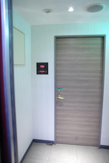 HOTEL MayoViento（マヨビエント)(渋谷区/ラブホテル)の写真『501号室　入口ドア』by マーケンワン
