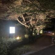 HOTEL MYTH GARDEN(奈良市/ラブホテル)の写真『夜の入口』by まさおJリーグカレーよ