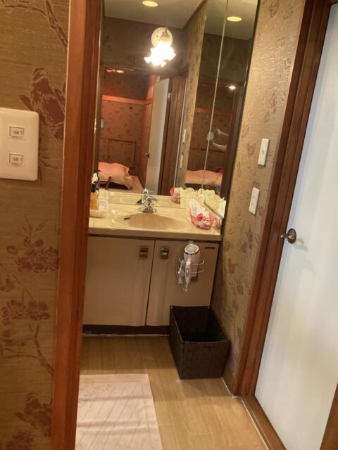 ホテル 山乃家(岩出市/ラブホテル)の写真『2号室　洗面所』by まさおJリーグカレーよ