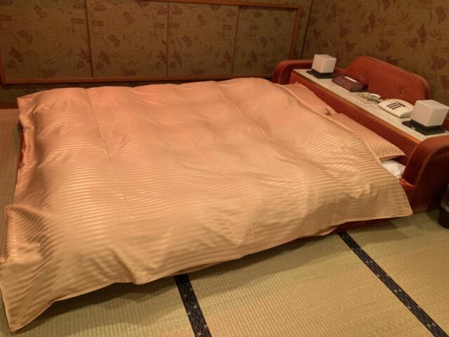 ホテル 山乃家(岩出市/ラブホテル)の写真『2号室　ベッド』by まさおJリーグカレーよ