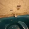 OLD SWING MUSIC STYLE HOTEL(渋谷区/ラブホテル)の写真『407号室　浴槽はブロアバス対応　水栓は古風なタイプ』by angler