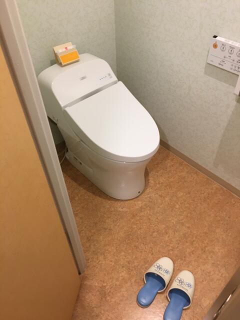 ホテル MARE（マーレ）(品川区/ラブホテル)の写真『301号室　トイレ』by ちげ