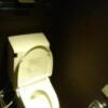 AROMA BOWERY(アロマバワリー)(横浜市中区/ラブホテル)の写真『304号室（トイレ。ウォシュレットは旧型INAX製）』by 格付屋
