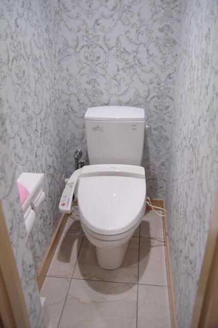 マリンブルー(川口市/ラブホテル)の写真『213号室　洗浄機能付きトイレ』by マーケンワン