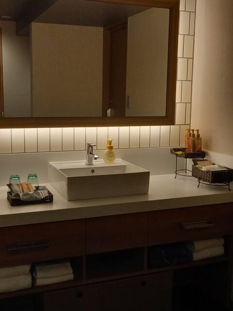 BAMBOO GARDEN(墨田区/ラブホテル)の写真『303号室　洗面所』by クロマグロ