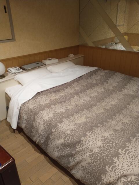 ホテル ワールド(豊島区/ラブホテル)の写真『501号室ベッド別アングル』by よしわランド
