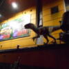 アルティア ダイナソー町田店(町田市/ラブホテル)の写真『外壁の看板と恐竜』by もんが～