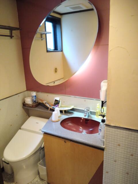 CHECK INN BALI(豊島区/ラブホテル)の写真『202号室 洗面所とトイレ。トイレは個室ではないし、鏡が洗面台の前ではなく便器の前に付いているのはいかがなものか?!』by なめろう