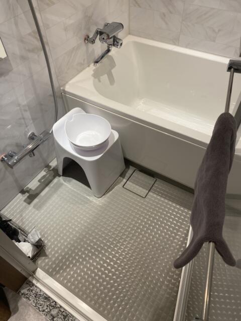 HOTEL K-NEXT(ケーネクスト)(さいたま市大宮区/ラブホテル)の写真『216号室(浴室手前から)』by こねほ