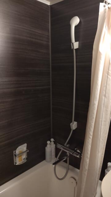 THE HOTEL Z(川口市/ラブホテル)の写真『501号室、ユニットバスのシャワーヘッド』by Sparkle