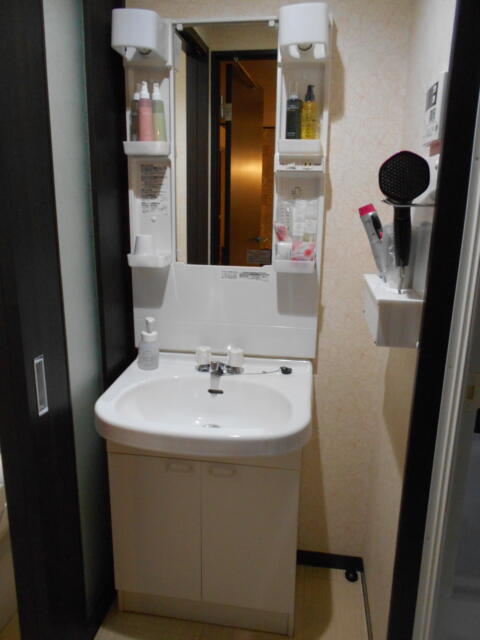 ニューポート(立川市/ラブホテル)の写真『305号室、洗面所』by もんが～