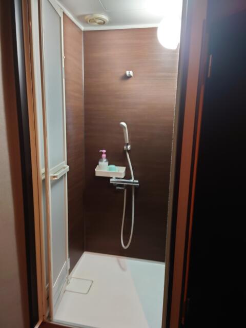 プチホテル AGAIN(荒川区/ラブホテル)の写真『204号室シャワールーム』by そこそこの人生