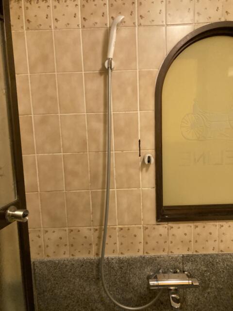 ホテル B&H（ベルアンドハイ）(富士市/ラブホテル)の写真『202号室　シャワー』by まさおJリーグカレーよ