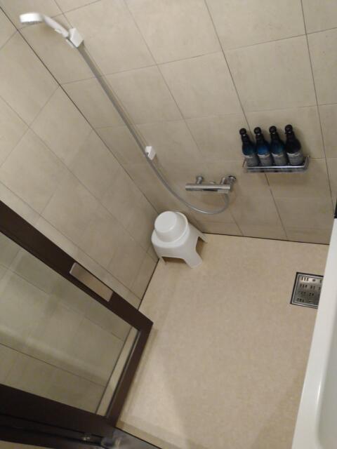 HOTEL ALLURE～アリュール～(船橋市/ラブホテル)の写真『306号室 バスルーム、洗い場。』by なめろう