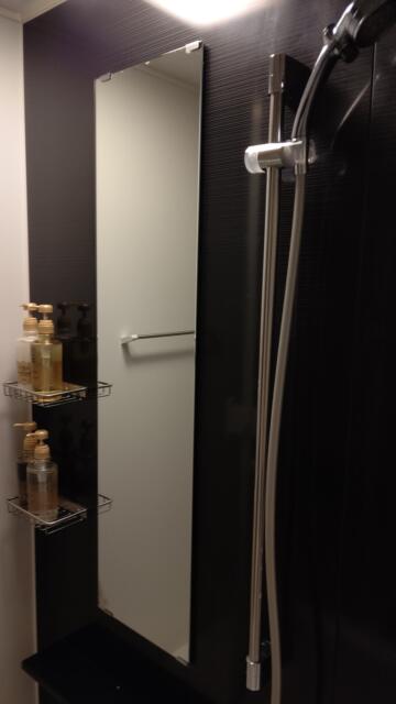 ホテル大山(新宿区/ラブホテル)の写真『104号室、シャワーと洗い場の鏡』by Sparkle