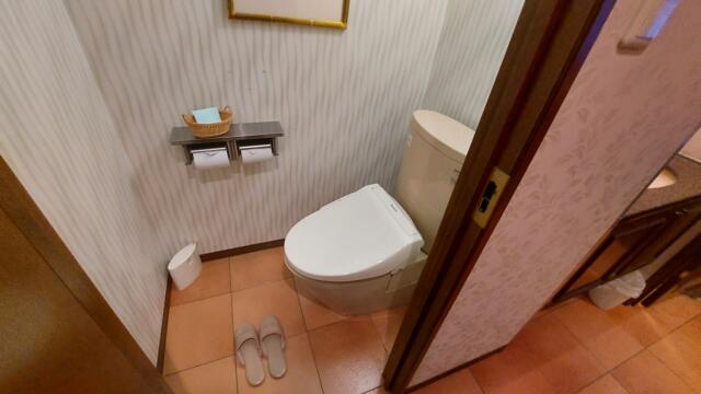 HOTEL KARIN(台東区/ラブホテル)の写真『203号室　トイレ』by 正直下半神