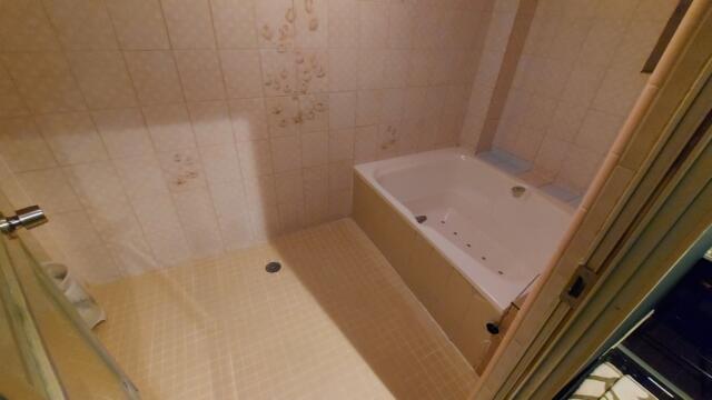 ホテル十色(千葉市中央区/ラブホテル)の写真『119号室　浴室(洗面所から見て)』by 正直下半神