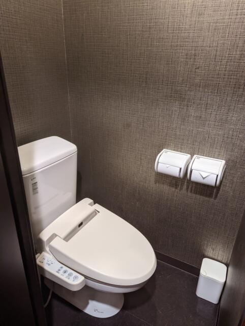 ホテル ピュア・アジアン(墨田区/ラブホテル)の写真『201号室のトイレ（結構綺麗）』by ふ～