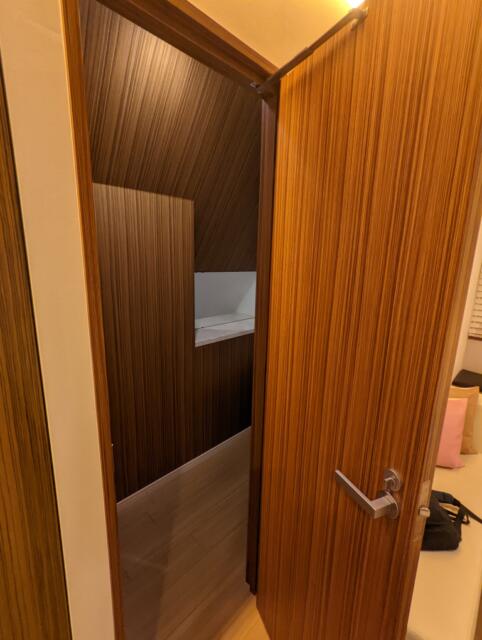 HOTEL DUO（デュオ）(墨田区/ラブホテル)の写真『501号室のトイレ①　入口はいってすぐ左の扉。広いので扉開けても便座は見えないです。』by ふ～