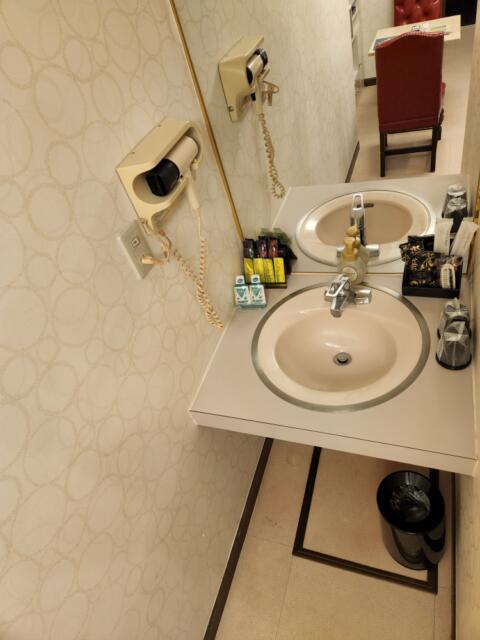 AUGUSTA DUO(アウグスタ デュオ)(台東区/ラブホテル)の写真『36号室、洗面所』by イシバシ