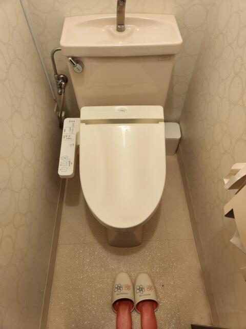 AUGUSTA DUO(アウグスタ デュオ)(台東区/ラブホテル)の写真『36号室、トイレ』by イシバシ