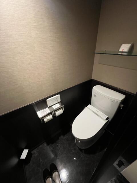 HOTEL 31（サーティワン)(船橋市/ラブホテル)の写真『203号室 トイレ』by Infield fly