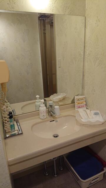 ホテル MARE（マーレ）(品川区/ラブホテル)の写真『307号室 洗面台』by 舐めたろう
