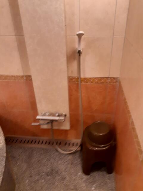 ホテルViVi(相模原市/ラブホテル)の写真『307号室　浴室　シャワースペース』by 新アッキー