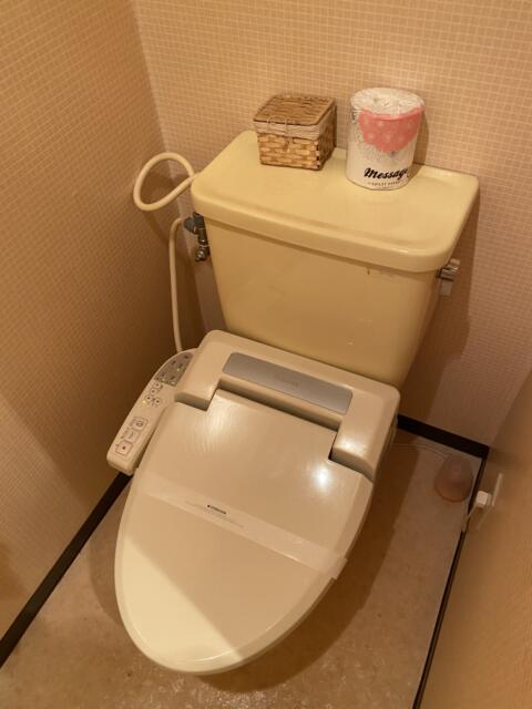 インナウ(取手市/ラブホテル)の写真『406号室(トイレ)』by こねほ