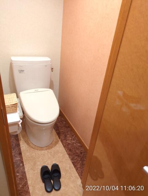 閉店？したホテル(ID:175868)(豊島区/ラブホテル)の写真『(202号室) トイレ。もちろんシャワートイレです。』by 愛だけでできている