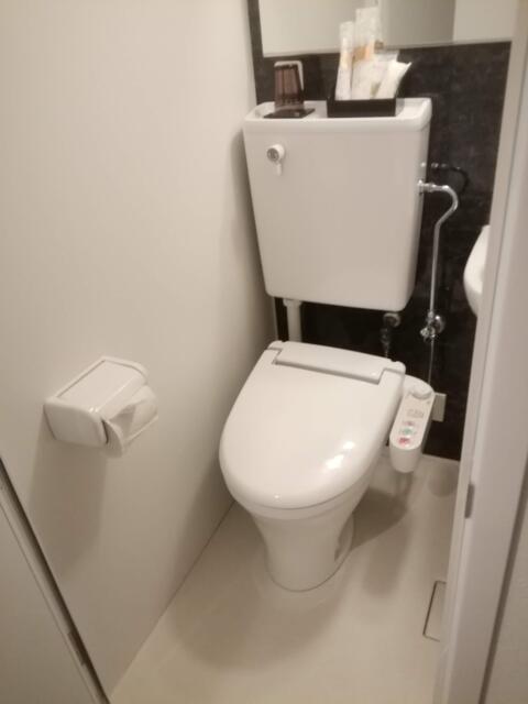 HOTEL Plaisir Akihabara(ホテルプレジール秋葉原)(千代田区/ラブホテル)の写真『201号室、トイレです。(22,10)』by キジ