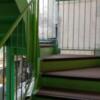ホテルニュータウン秋葉原(千代田区/ラブホテル)の写真『上階には外階段を使うしかありません。』by キジ
