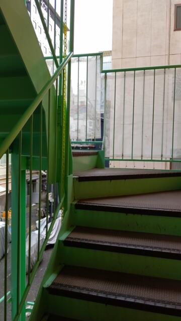 ホテルニュータウン秋葉原(千代田区/ラブホテル)の写真『上階には外階段を使うしかありません。』by キジ