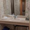 ホテル MARE（マーレ）(品川区/ラブホテル)の写真『501号室、洗面所』by 爽やかエロリーマン