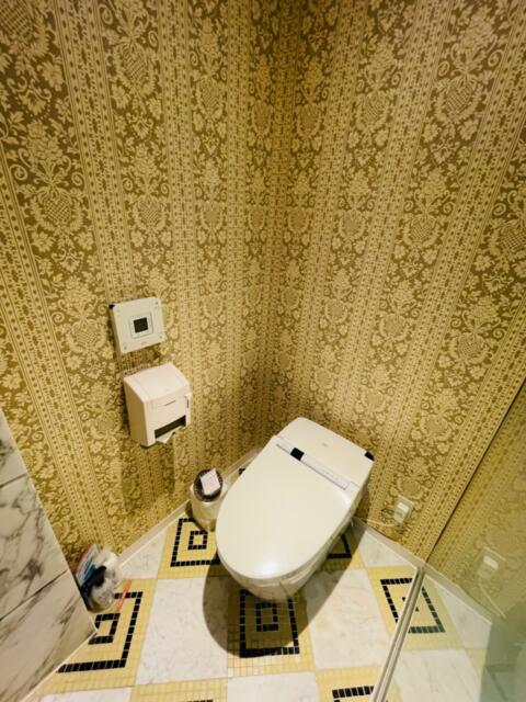 ＰＡＬ大塚(豊島区/ラブホテル)の写真『602号室のトイレ』by miffy.GTI