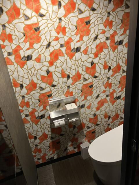 HOTEL BRATTO STAY (ブラットステイ)(八王子市/ラブホテル)の写真『405号室トイレ』by よぴ0222