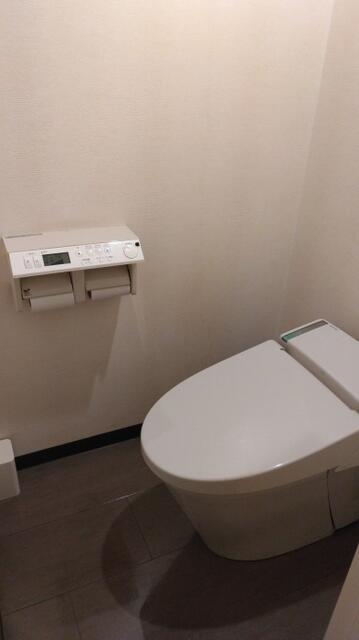 ヒルズホテル五反田(品川区/ラブホテル)の写真『502号室 トイレ』by _Yama