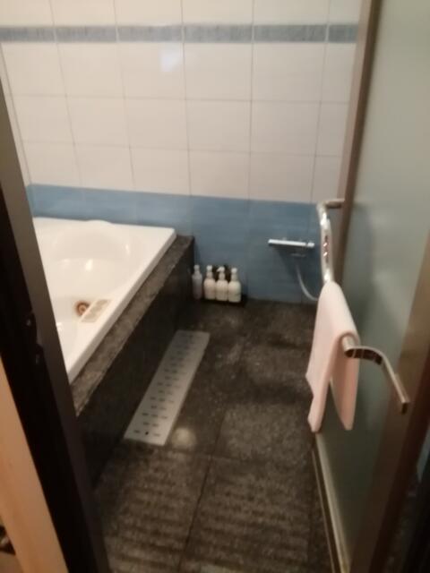 WILL marineresort藤沢(ウィルマリンリゾートフジサワ)(藤沢市/ラブホテル)の写真『210号室、浴室です。(22,10)』by キジ