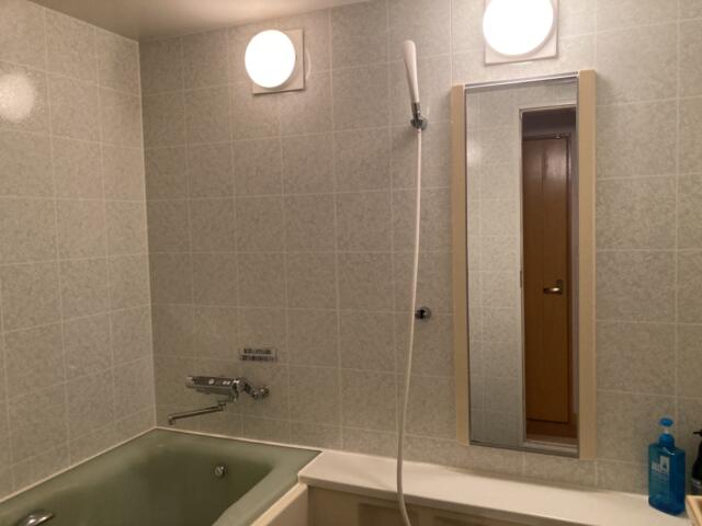 シーサイドヴィラミヤビ(静岡市駿河区/ラブホテル)の写真『216号室　シャワー』by まさおJリーグカレーよ