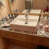 シーサイドヴィラミヤビ(静岡市駿河区/ラブホテル)の写真『216号室　洗面台』by まさおJリーグカレーよ