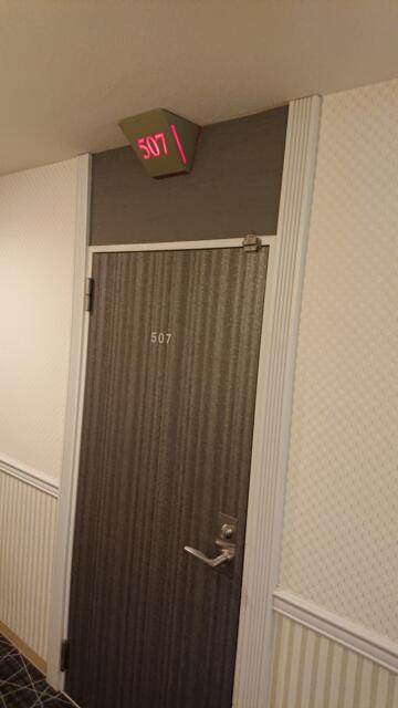 ホテル MARE（マーレ）(品川区/ラブホテル)の写真『507号室 ドア(チャイムがほしいです)』by 舐めたろう